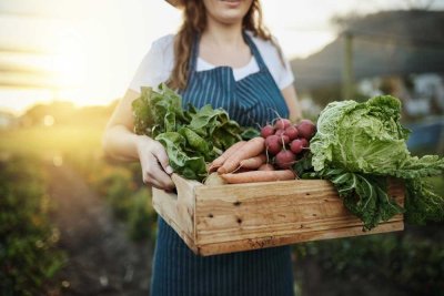 Privilégier les produits locaux européens dans votre restaurant collectif